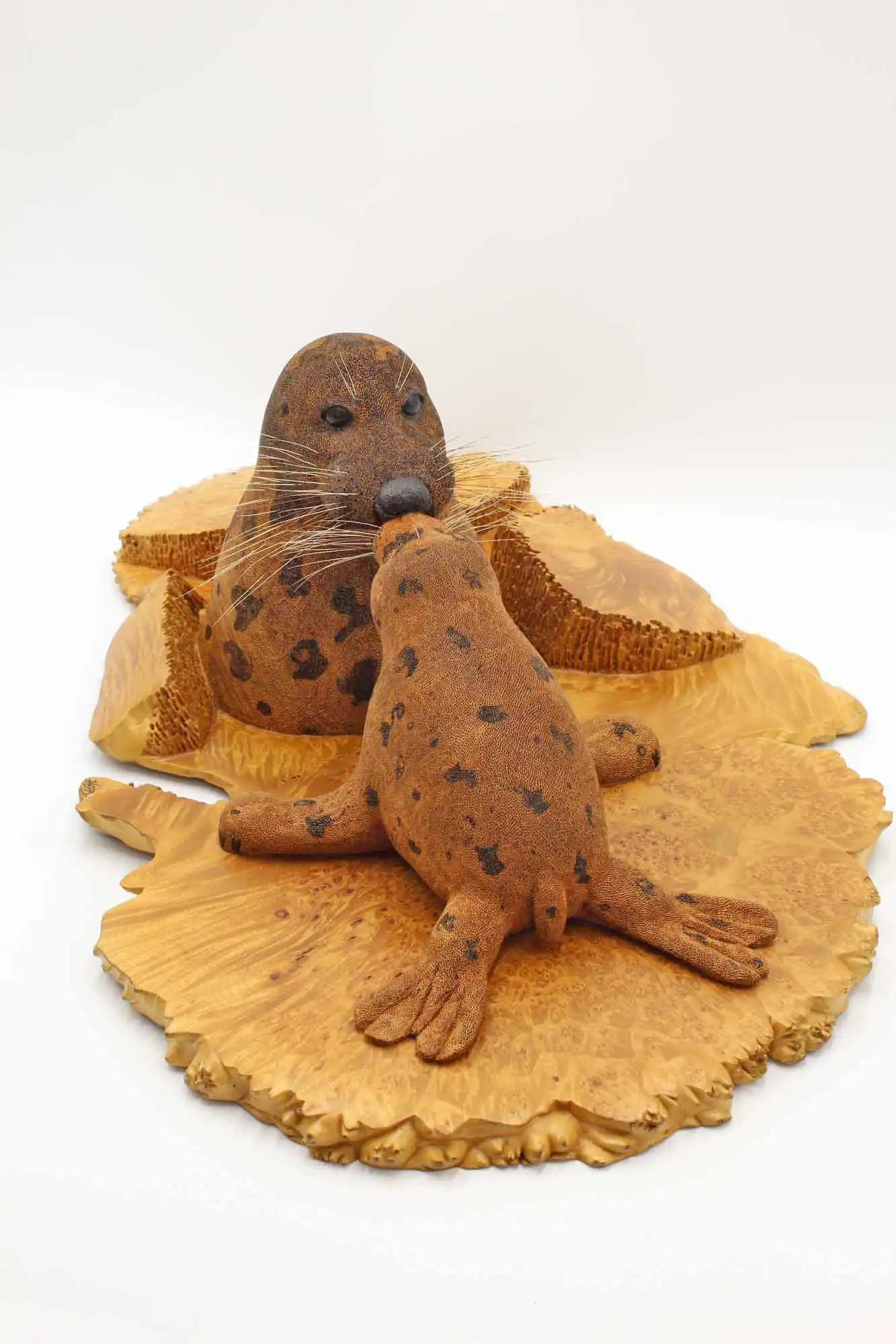 Spotted Harbor Seal woodcarving sculpture